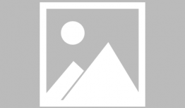 八爪鱼视频,探索无限创意的视觉盛宴