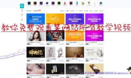 网页视频在线下载,网页视频在线下载攻略解析