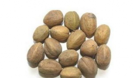 吃瓜爆料小巴豆怎么做,独家爆料背后的故事