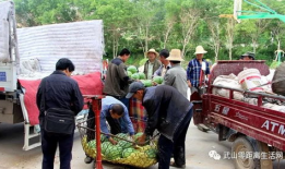 来宾市吃瓜群众爆料,神秘事件引发全民“吃瓜”狂欢